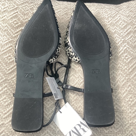 Zara Flats. - Picture 3 of 4